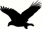 Bird (7) vinyl decal